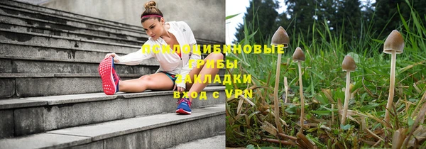 соль ск Михайловка
