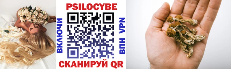Псилоцибиновые грибы мухоморы  Купить где  Козьмодемьянск 